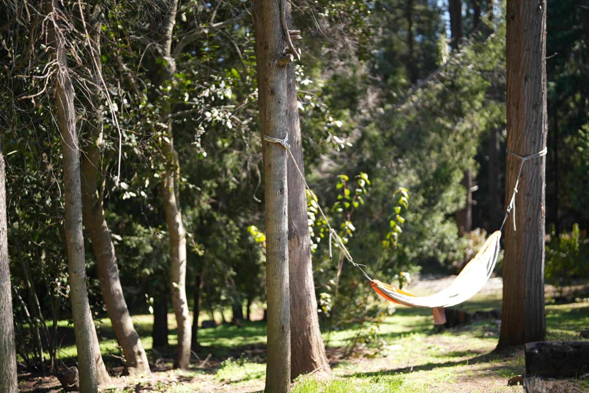 Hostel El Mirador El Bolsón Eksteriør billede